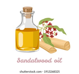 Sandalwood oil in glass bottle, wooden stick and flower isolated on white background. Vector illustration of essential oil in cartoon flat style.