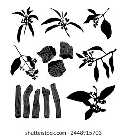 Sandalwood plant silhouette stencil templates