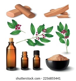 Sandalwood realistic set of plant twigs wooden material essential oil vials perfume powder fragrant sticks and chips isolated vector illustration