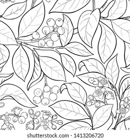 sandalwood vector pattern on white background