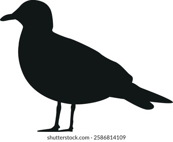 Sanderling arctic bird vector illustration