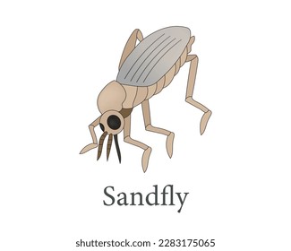 Sandfly, The culprit behind leishmaniasis (AKA : Kala Azar).
Phlebotomus argentipes