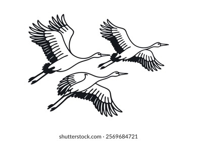 A Sandhill crane bird group in flight 