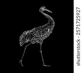 sandhill crane hand drawing vector isolated on black background.