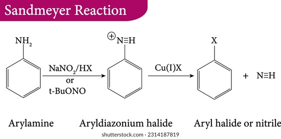 The Sandmeyer reaction is a chemical reaction used to synthesize aryl halides from aryl diazonium salts using copper salts as reagents  , vector illustration