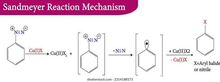 Sandmeyer Reaction Mechanism , vector illustration