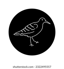 Sandpiper bird black line icon. Pictogram for web page, mobile app, promo.