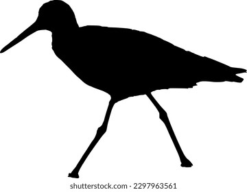 Sandpiper Bird Black Silhouette Outline Shape Vector