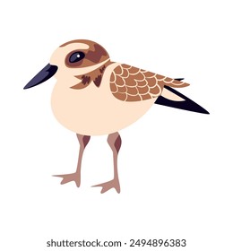 sandpiper bird lindo icono aislado