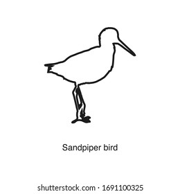 Sandpiper bird icon vector on white background. Black icon illustration