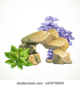 Sandstone with anemones with green algae for aquarium decoration or as a separate element isolated on white background