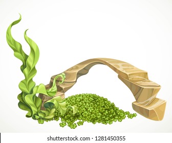 Sandstone arch with marine green algae part of the seabed for aquarium decoration or as a separate element isolated on white background