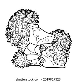 Sandstone on which corals and sponges grow  coloring book linear drawing isolated on white background