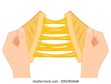 Sandwich cheese vector. Bread vector. wallpaper. background. Cheese stretch.