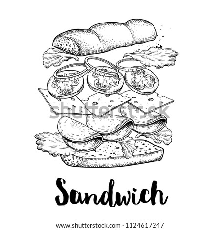 Sandwich constructor. Flying ingredients with big chiabatta bun. Hand drawn sketch style vector illustration. Fast and street food drawing. Ham, cheese, tomato, onion and lettuce.