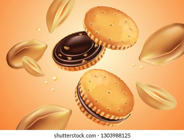 Sandwich cookies chocolate and peanut seeds isolated on white background, Realistic vector 3D illustration. Of free space for your texts and branding. 