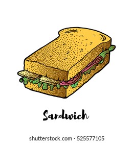 Sandwich hand drawing. VECTOR sketch. Great for restaurant menu or banner