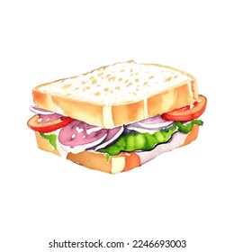 sandwich hand drawn with watercolor painting style illustration