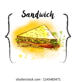 Sandwich illustration. Watercolor and sketh vector illustration