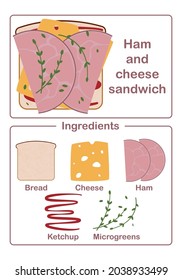 sandwich ingredients bread, cheese, ham and salad