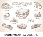Sandwich with ingredients free hand drawing, sketch style