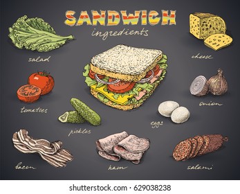 Sandwich with ingredients free hand drawing, sketch style. Dark background