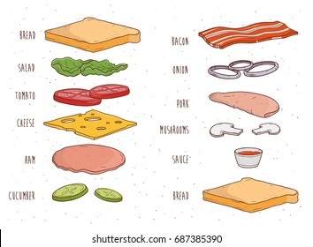 Sandwich ingredients separately. Bread, salad, tomato, cheese, sauce, mushrooms, bacon, onion. Colorful hand drawn vector illustration.