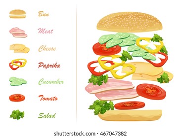 Sandwich Ingredients With Text Infographics. Floating Hamburger.