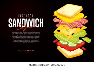 Sandwich on Black Background