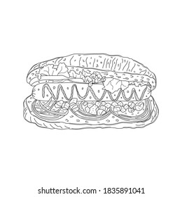 Sandwich on a white plate. Hot Dog. Vector hand-drawn illustration.