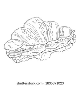 Sandwich on a white plate. Vector hand-drawn illustration.