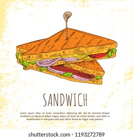 Sandwich with onion salad meat and tasty cheese, isolated on white background vector illustration of fast food , toasted product with lot ingredients
