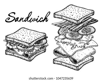 Sandwich outline drawing, Sandwich constructor. Hand Drawn Sketch Vector illustration.