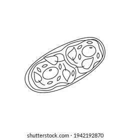 Sandwich mit Rührei, Sesamsamen und Kräutern, Kuchenkäse, Frühstück oder Snack. Schwarz-Weiß-Doodgrafik, Vektorgrafik