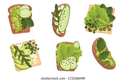 Sandwiches of Wheaten and Black Bread with Sliced Vegetables and Culinary Plants Vector Set