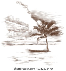 a sandy beach with a palm tree, sketch, vector graphics monochrome drawing