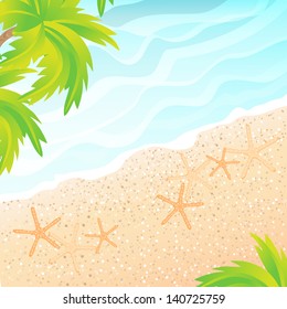 The sandy beach and palm trees