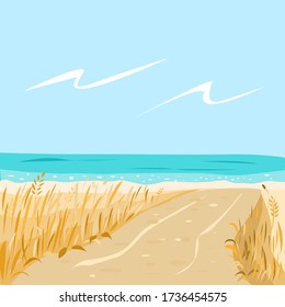 Sandy beach and road to the sea on the sand