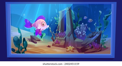 Fondo arenoso de acuario o oceanario con peces caricaturizados, corales y algas detrás de la ventana de vidrio. Observar la vida submarina con animales marinos y criaturas. Ilustración vectorial de los habitantes acuáticos.