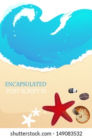 Sandy coast and foaming waves with starfish, stones and cockleshell