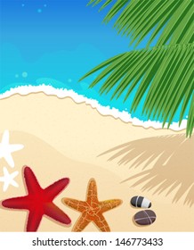 Sandy coast and foaming waves with starfishes, stones and palm branches