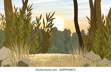 Sandy road in the forest. Realistic vector landscape.