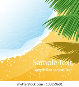 Sandy shore with palm