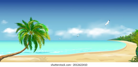 Sandy tropical beach. Palm tree above the water. Ocean coast. Seascape of the shore. Ocean, sky, clouds, sand.