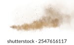 Sandy-smoke clouds with dust and fine particles. PNG Dune, sand storm, clusters of powder. Realistic vector illustration of desert storm - flying saw dust with small dirt particles under the influence