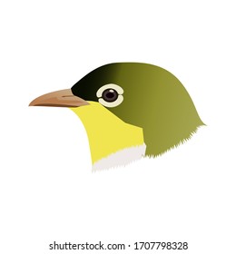 Sangihe white eye bird is a critically endangered animal