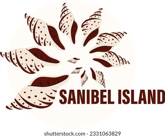 Sanibel Island Florida Junonian Shells