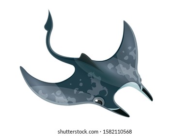 Sankar fish Marine shark vector Illustration on white Background