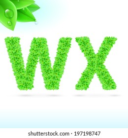 Sans serif font with green leaf decoration on white background. W and X letters