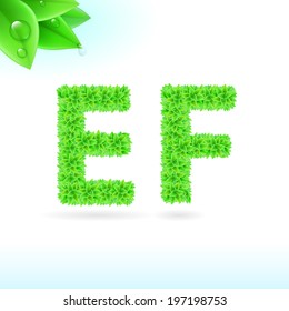 Sans serif font with green leaf decoration on white background. E and F letters